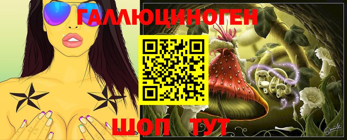 купить   Вход с VPN  Шебекино  Галлюциногенные грибы Cubensis 